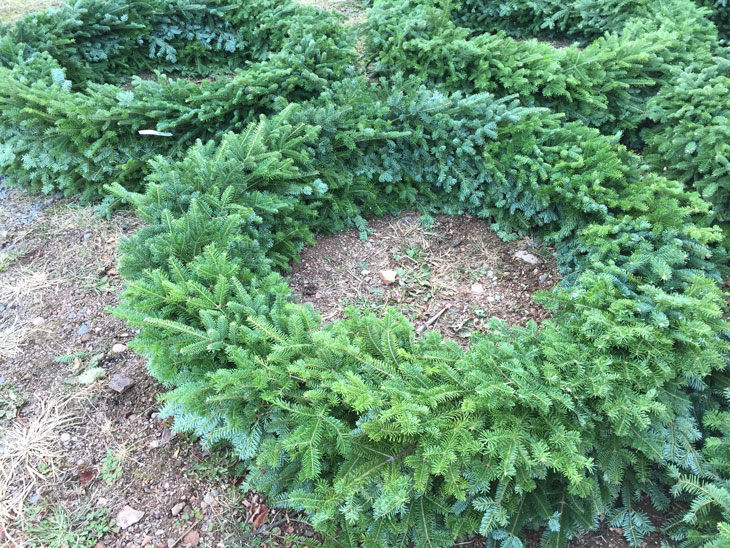 Add your own holiday trimmings to our finely-crafted wreaths for the perfect outdoor holiday decor.